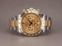 2026-03-17 - P3170035.JPG